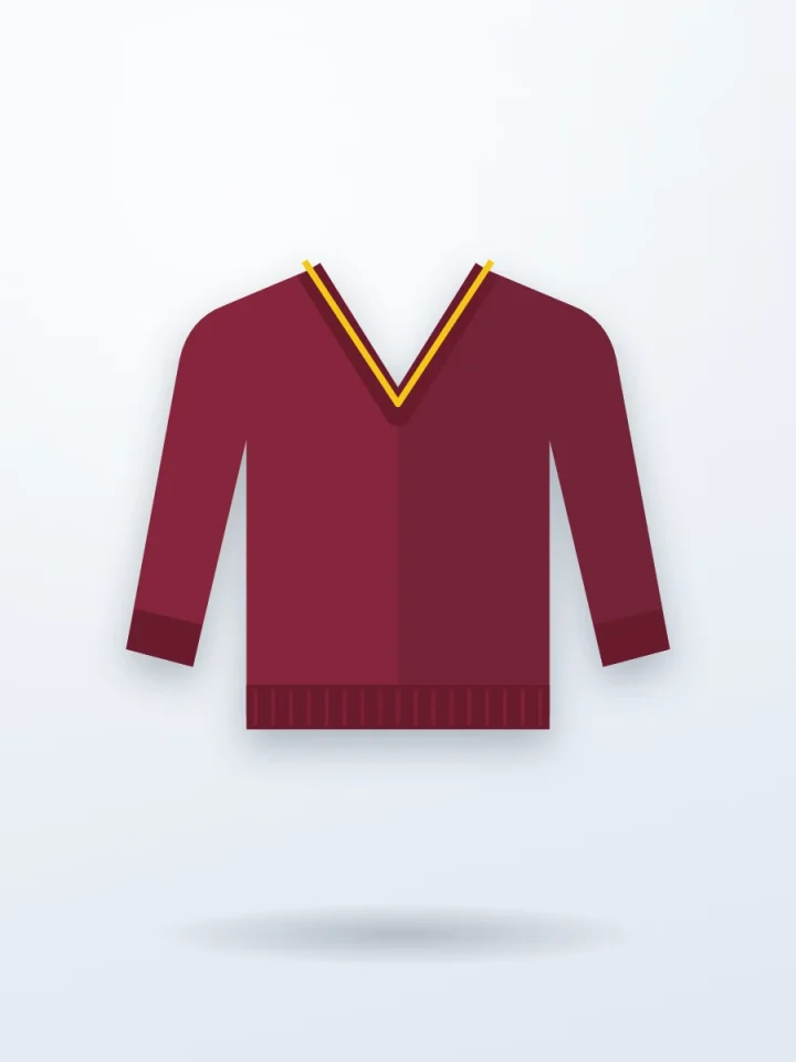 Maroon V-Neck Sweater
