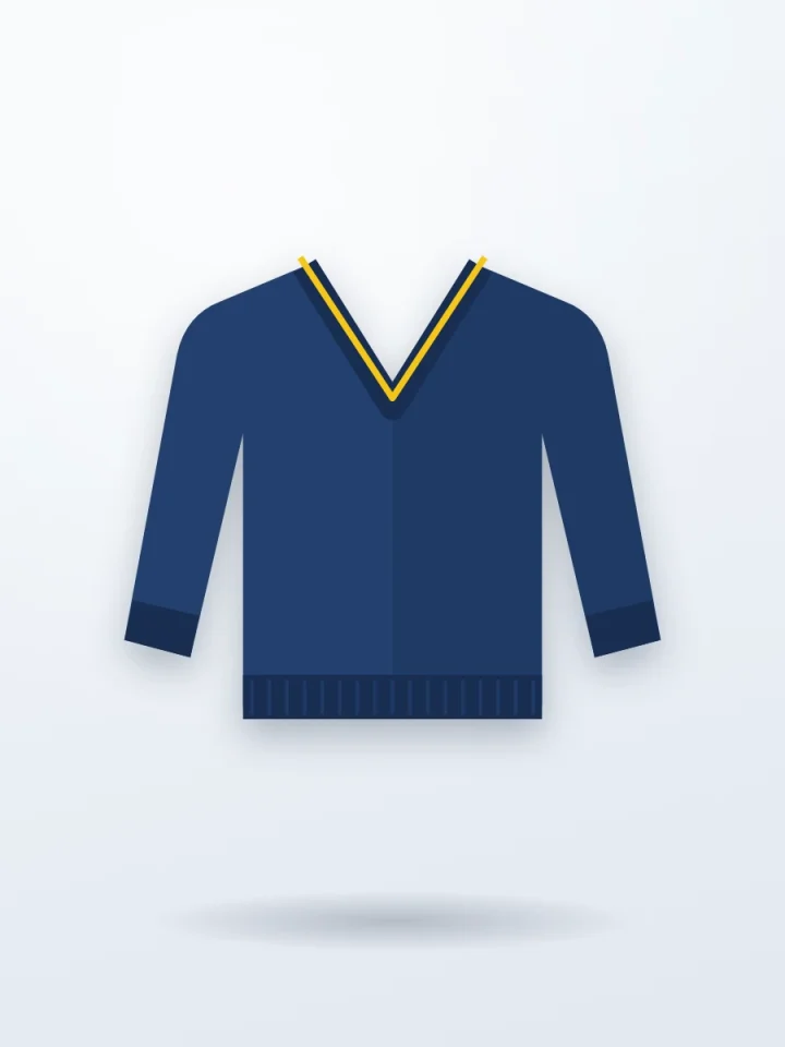 Navy V-Neck Sweater