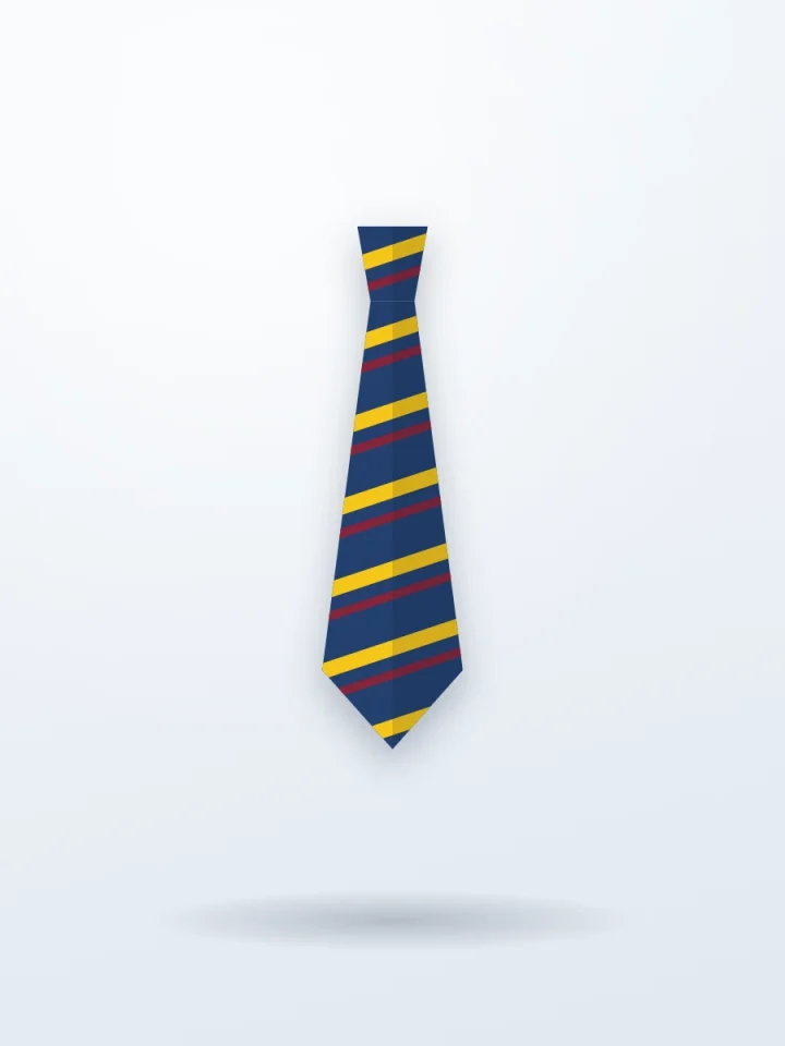 Striped School Tie